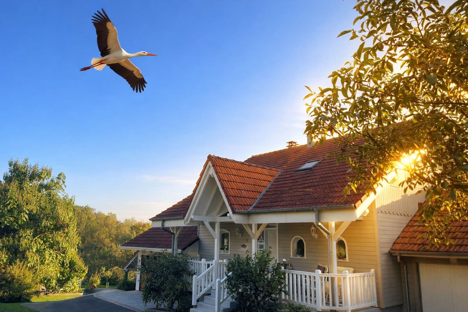 Tulipes Et Cetera — chargement